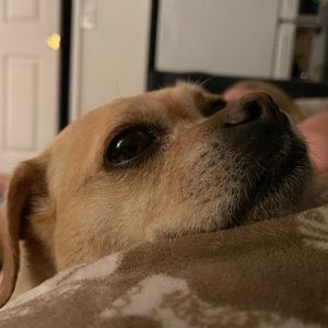 Meet your Posher, Steve